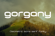 Gorgany font family, a Sans Serif Font by vlad.berla (Thumbnail 1 of 8)
