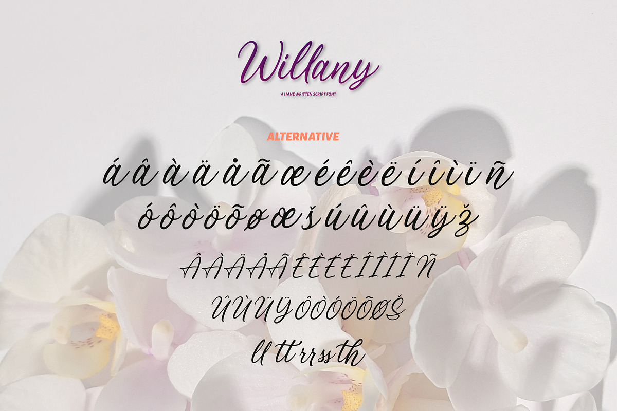 Willany - Handwritten Font, a Handwritten Font by Alphaleonis_std (Photo 6 of 7)