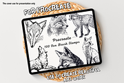 100 Fox Procreate Stamps, a Brush Add-On by Painter Creative Books (Thumbnail 1 of 9)