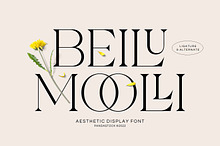 Beilu Moolli - Aesthetic Serif