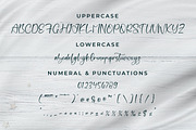 Monttaneely, a Script Font by Integritype Studio (Thumbnail 9 of 15)