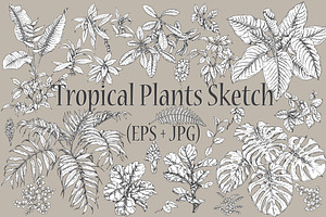 Tropical Plants Sketch