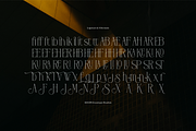 Hustasea | Modern Display Serif, a Serif Font by gracetype_studio (Thumbnail 11 of 12)