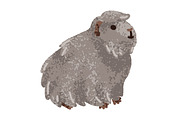 Cute, funny guinea pig animals set, an Animal Illustration by Good Studio (Thumbnail 9 of 14)