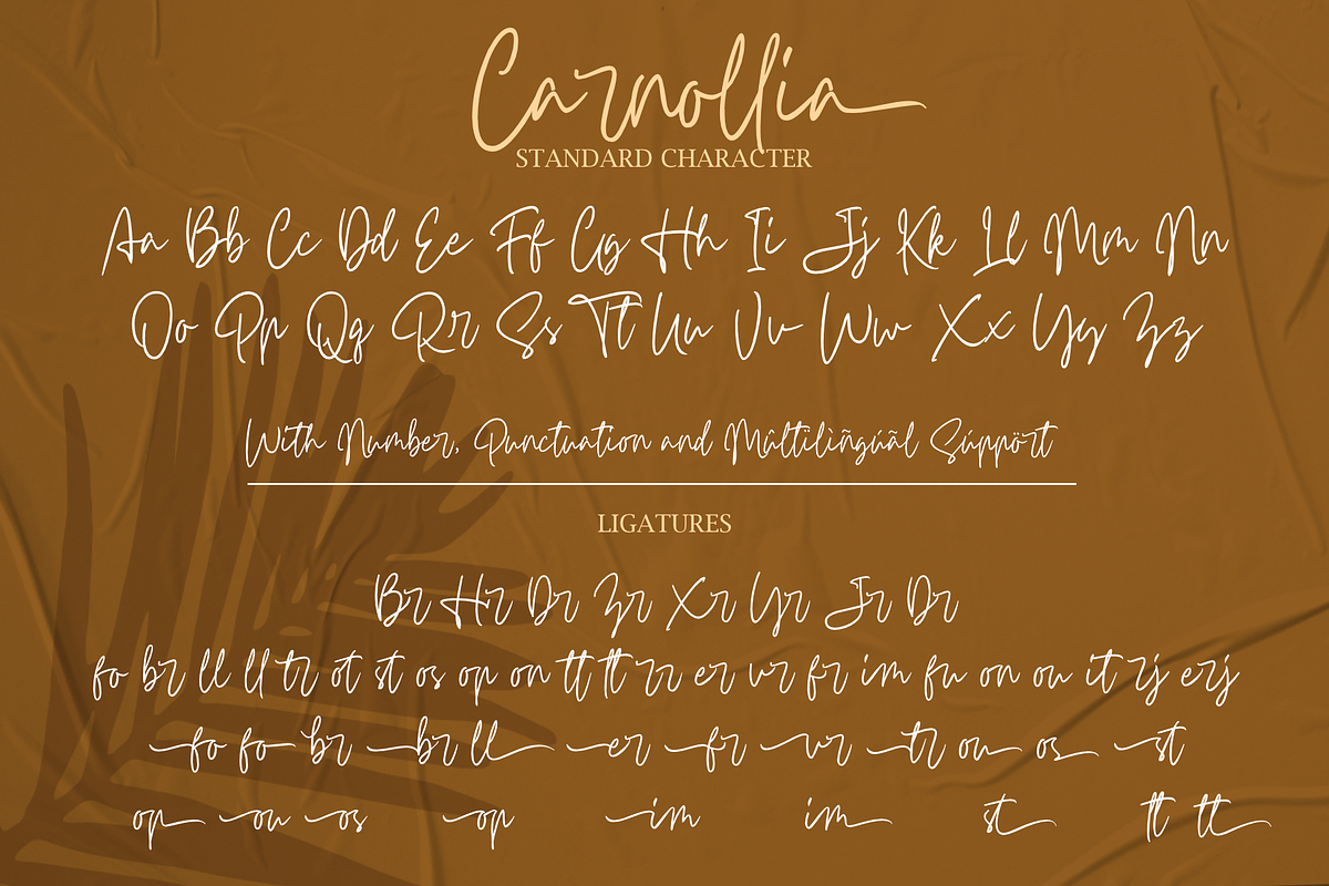 Carnollia Signature, a Script Font by Hanaksara Studio (Photo 13 of 15)