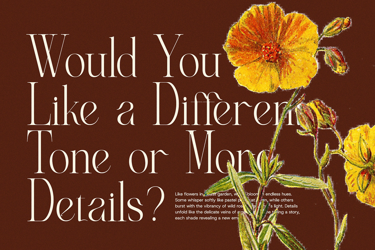Angella Elegant Serif Font, a Serif Font by Perfectype (Photo 4 of 8)