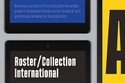 Polate, a Sans Serif Font by Typesketchbook Foundry (Thumbnail 4 of 5)