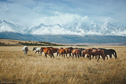 Lightroom landscapes, travel presets, a Preset Add-On by Fotomarket (Thumbnail 3 of 5)