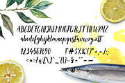 Lemonfish, a Script Font by Tabita's shop (Thumbnail 6 of 6)
