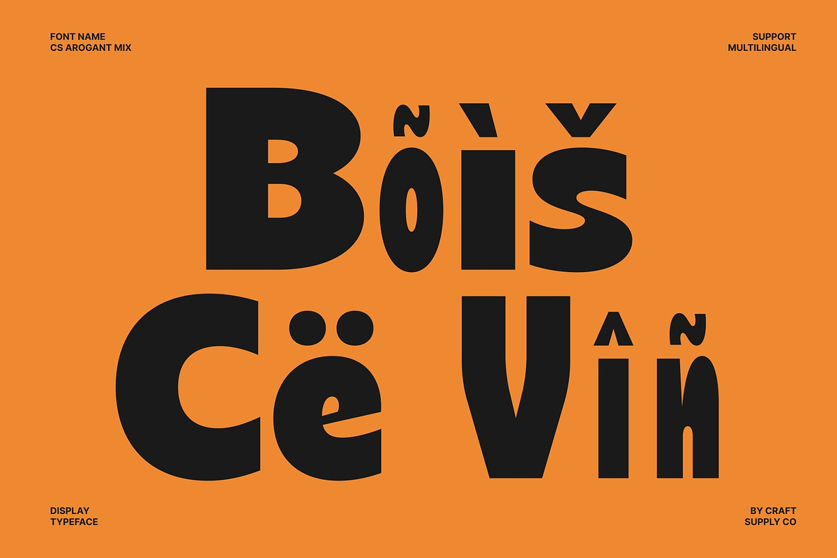 CS Arogant Mix, a Sans Serif Font by Craft Supply Co. (Photo 7 of 8)