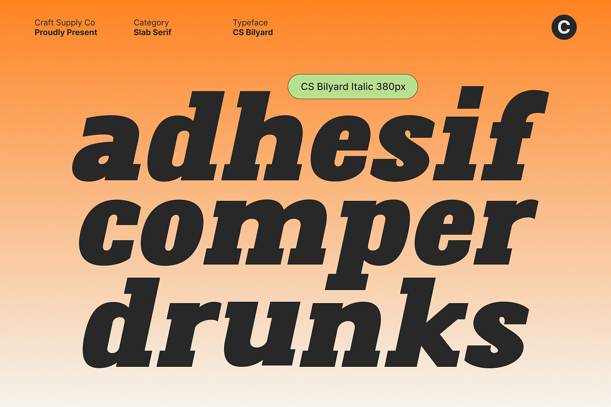 CS Bilyard – Slab Serif Display, a Slab Serif Font by Craft Supply Co. (Photo 7 of 8)