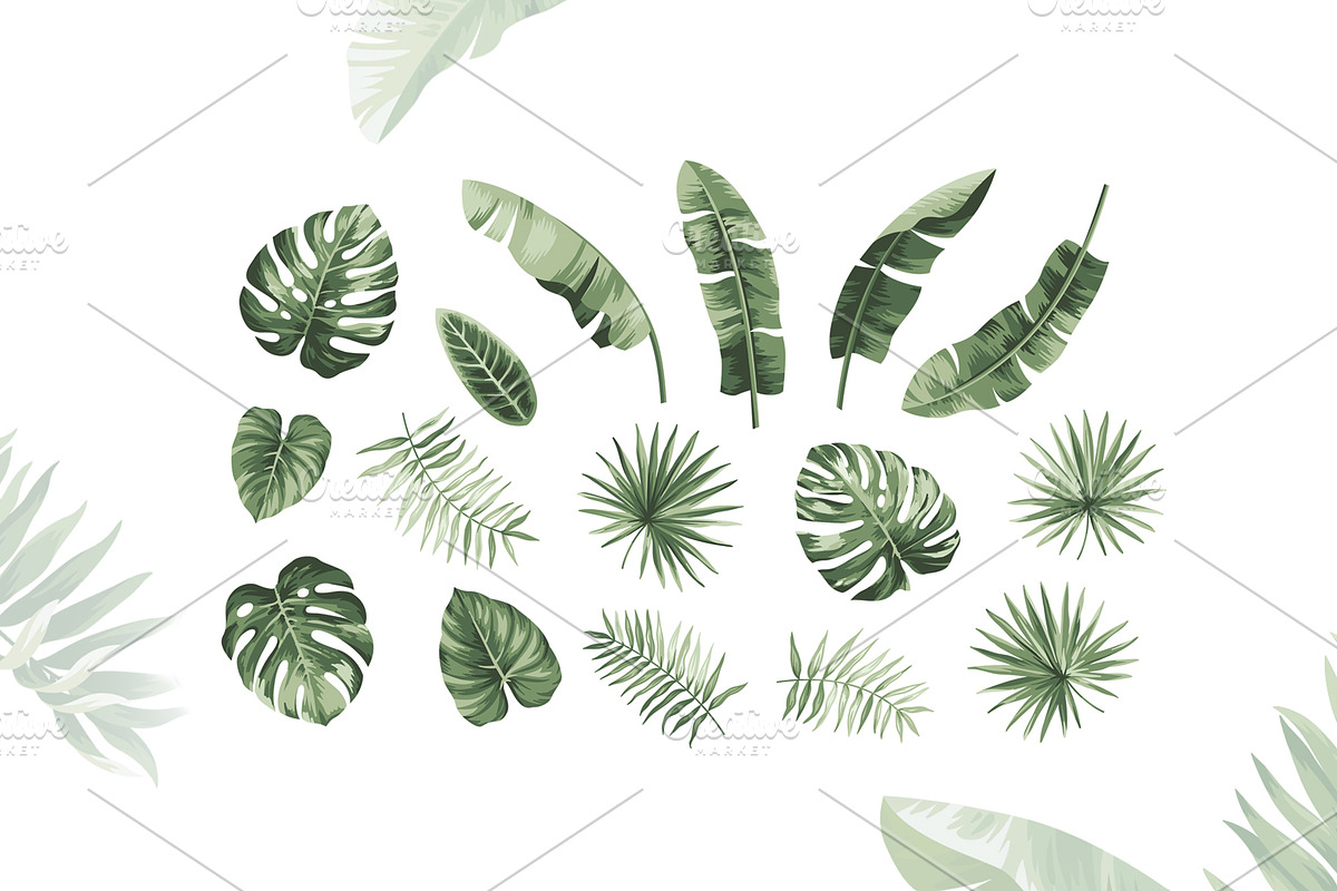 Tropical vector pattern & 12 leaves., a Pattern Graphic by Anna Smirnova (Photo 5 of 5)