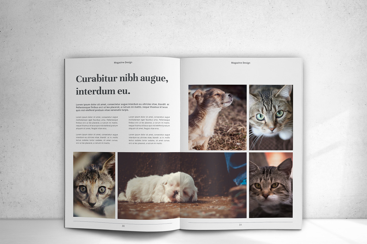 The Magazine, a Magazine Template by design_pick (Photo 21 of 22)