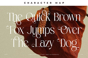 Venture Modern Serif Font