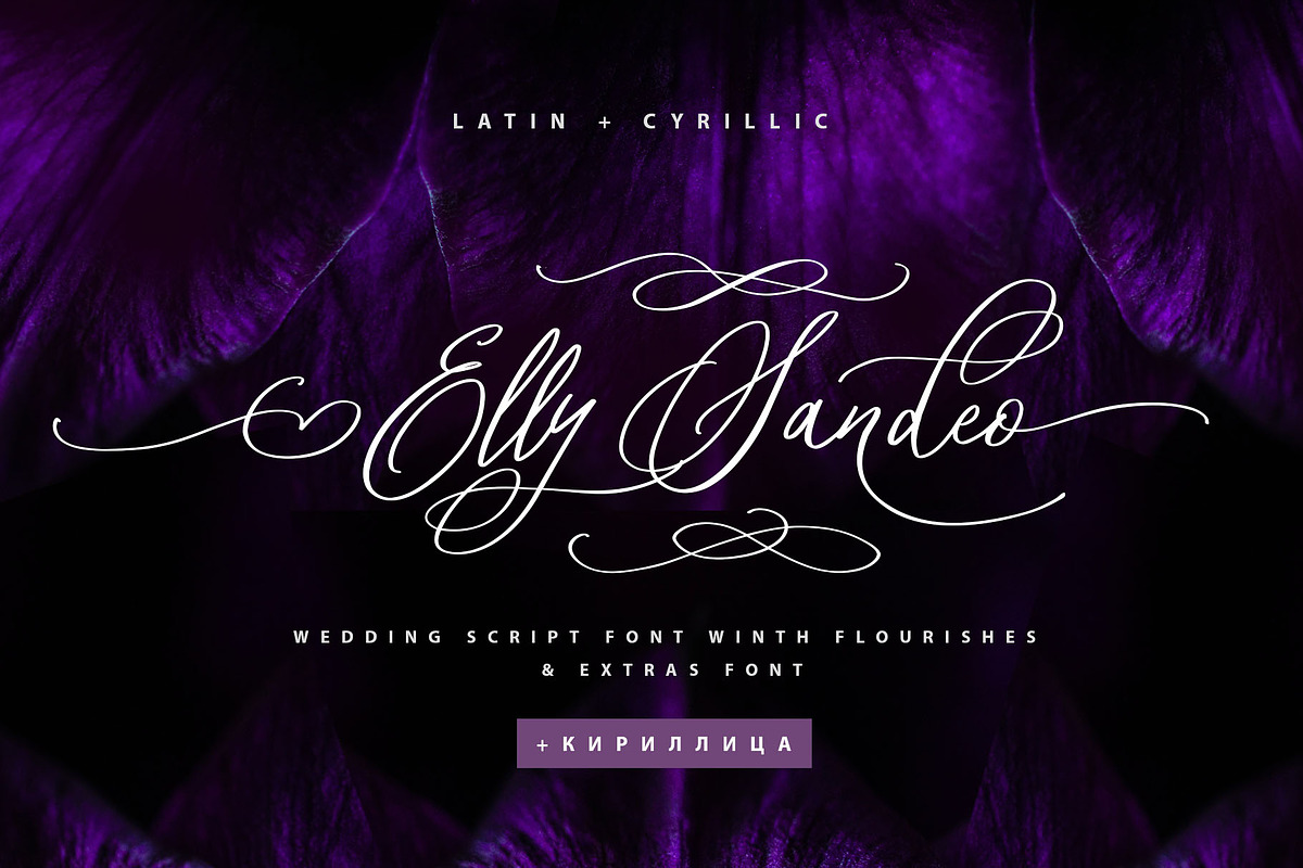 Elly Sandeo Wedding Cyrillic font, a Script Font by IraDvilyuk (Photo 1 of 18)