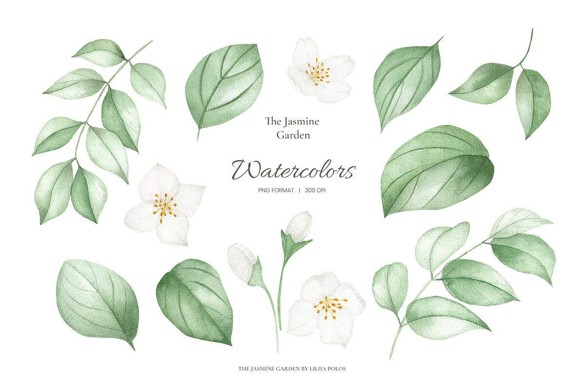 The Jasmine Garden. Watercolors, a Decorative Illustration by Liliia Polos Illustration (Photo 9 of 10)