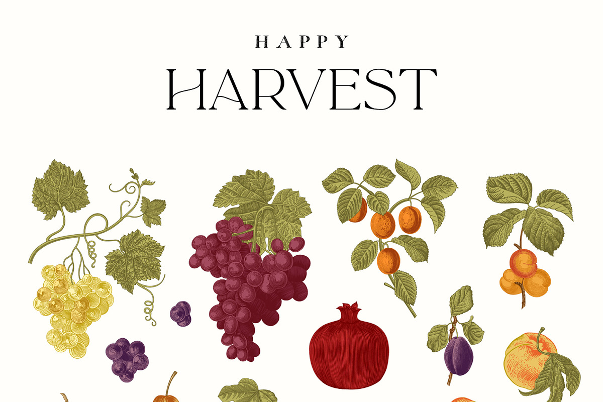 Happy Harvest, a Decorative Illustration by olga.korneeva (Photo 6 of 21)