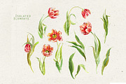 Jars and Tulips. Watercolor Set, a Decorative Illustration by Irina Dolgikh (Thumbnail 10 of 12)