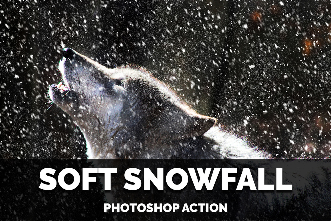 Soft Snowfall Photoshop Action, an Action Add-On by Design Forest (Photo 1 of 10)