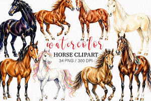 Watercolor Horse Clipart, an Animal Illustration by fashionaddict