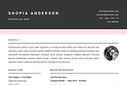 SALE Resume Template for MS Word, a Resume Template by GResume (Thumbnail 7 of 8)