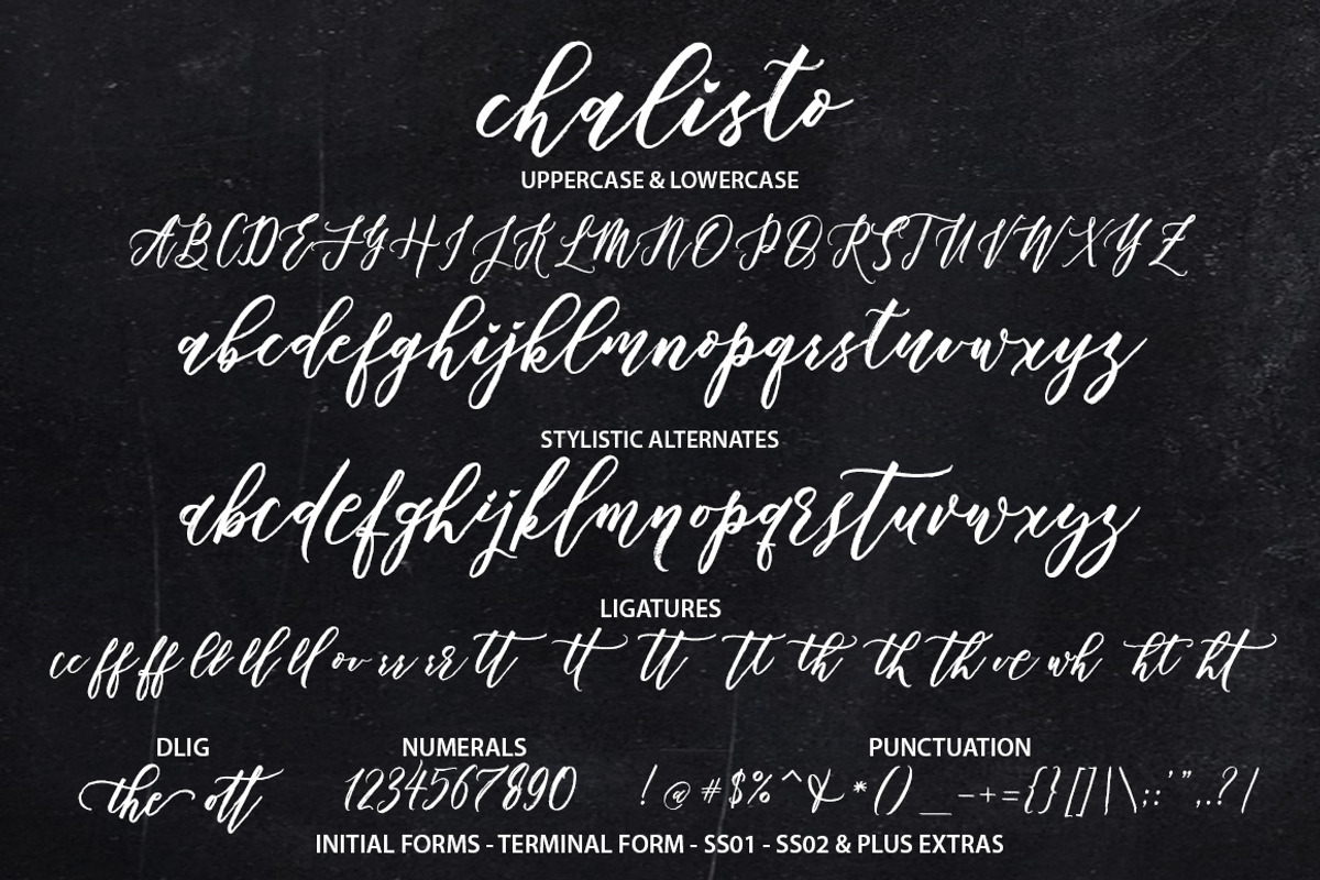Chalisto Script, a Script Font by joelmaker (Photo 9 of 10)