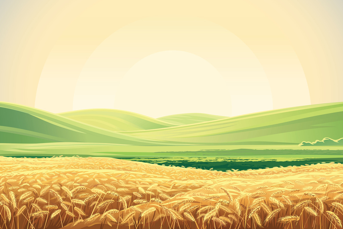 Rural landscape with wheat field, a Food Illustration by Countryside life (Photo 5 of 8)