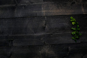 Mockup, Dark Wood, Mockups, a Background Photo by BlueBooks (Thumbnail 2 of 2)