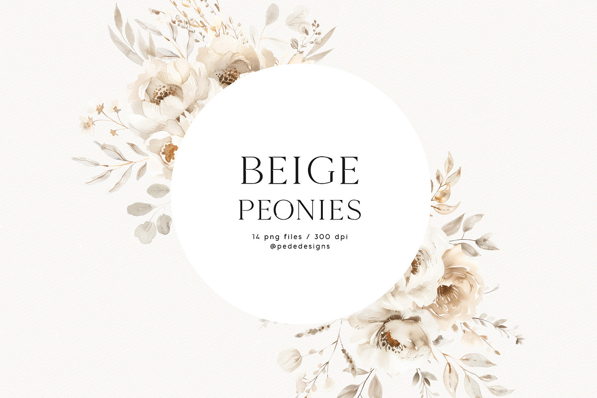 Beige Peonies, a Decorative Illustration by PeDe Designs (Photo 9 of 9)
