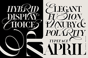 ZP APRIL - Luxury Hybrid Font, a Script Font by Zebra Press (Thumbnail 11 of 13)