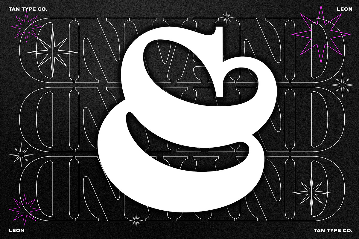 TAN - LEON, a Serif Font by TanType (Photo 3 of 10)