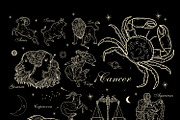 Zodiac & Astrology, a Decorative Illustration by Chikovnaya (Thumbnail 3 of 7)