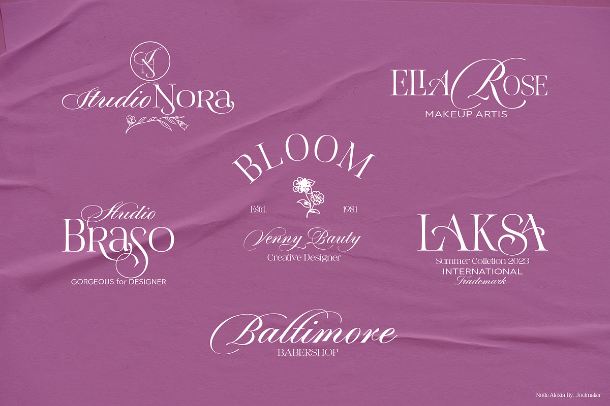 Notte Alexia, a Script Font by joelmaker (Photo 20 of 25)
