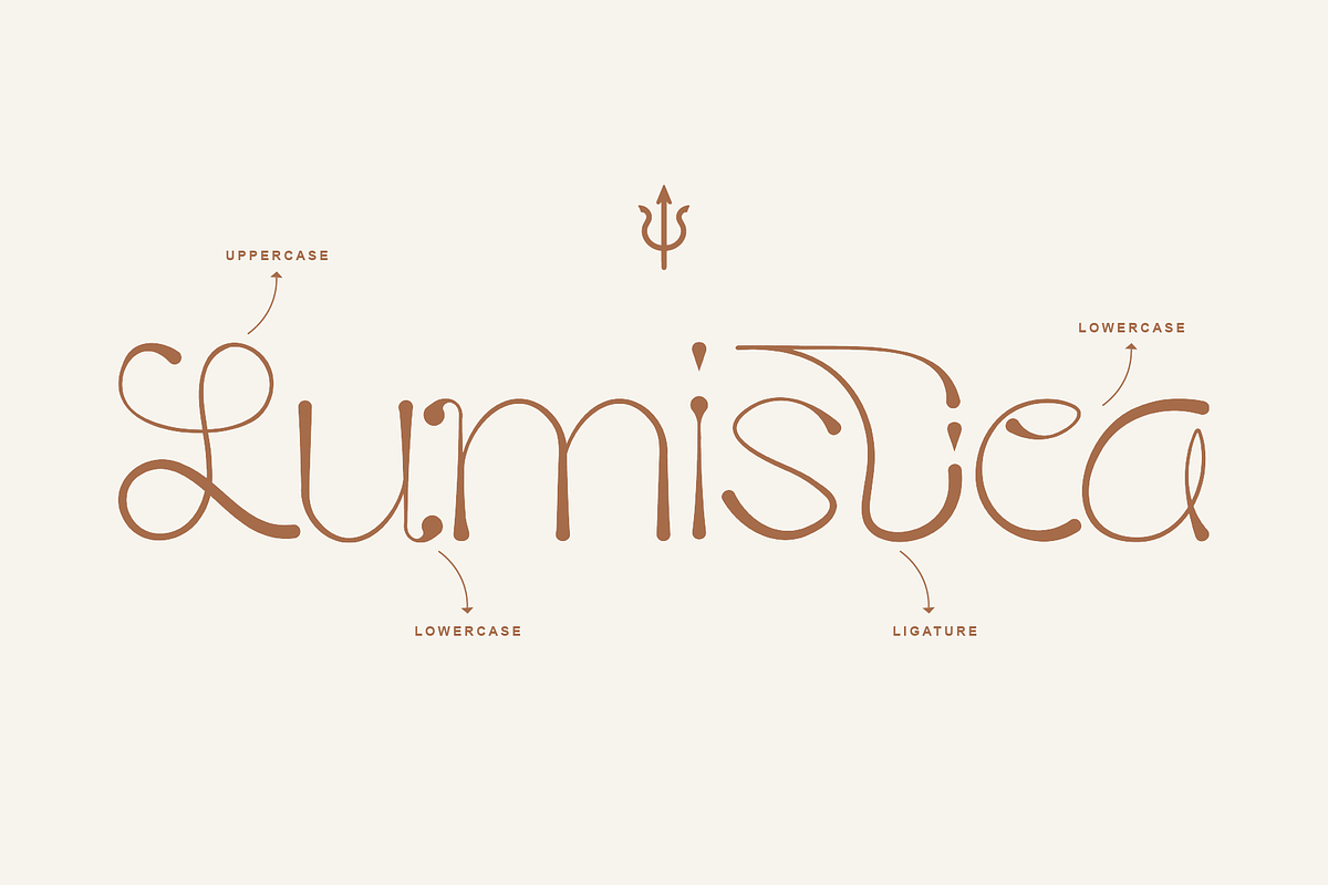 Lumistica Script Display Typeface, a Script Font by Nouric Design (Photo 2 of 10)