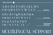 Volgue Modern Serif Font, a Serif Font by Alfinart (Thumbnail 6 of 10)