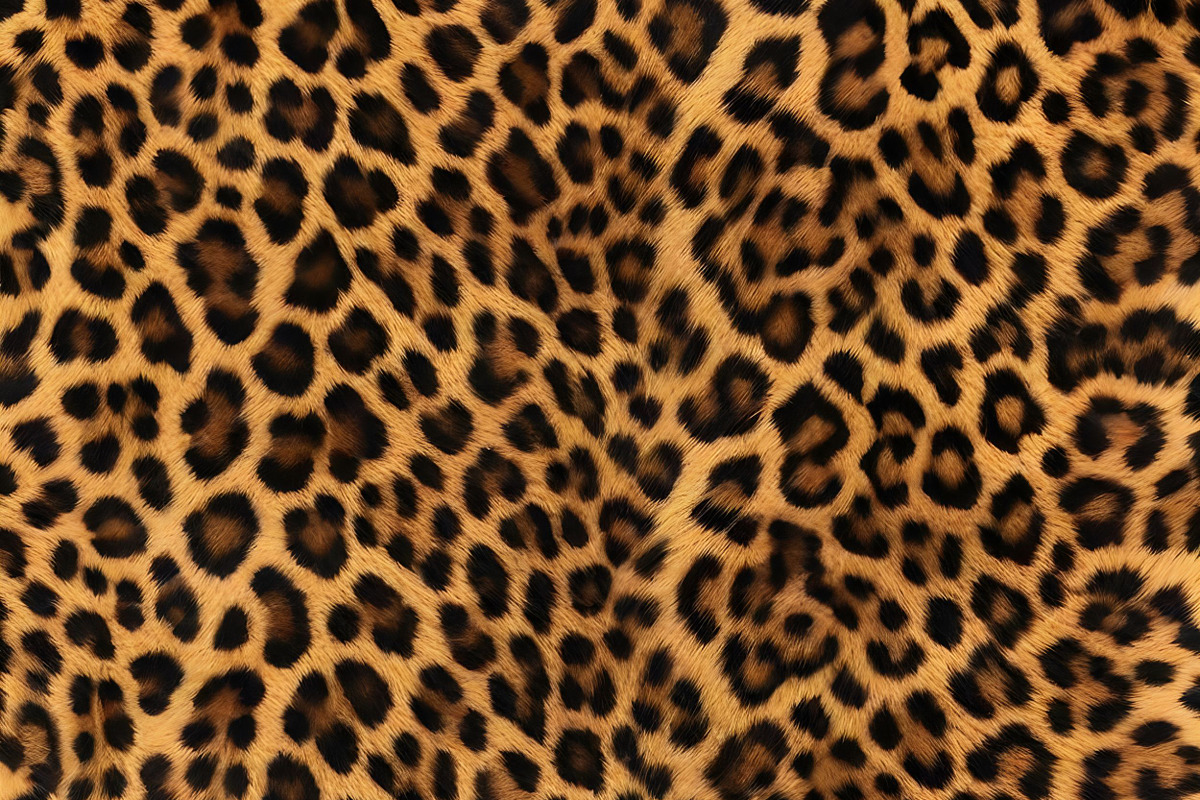 Safari Animals Skin Print Texture, a Graphic by UniqueMe (Photo 7 of 21)