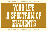 Unispare Condensed Slab Serif, a Slab Serif Font by Letterhend Studio (Thumbnail 9 of 10)