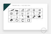 20 Tropical Stamps for Procreate, a Brush Add-On by SorrDesign (Thumbnail 2 of 5)