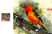 Pure Watercolor Photoshop Action, an Action Add-On by Design Forest (Thumbnail 20 of 32)