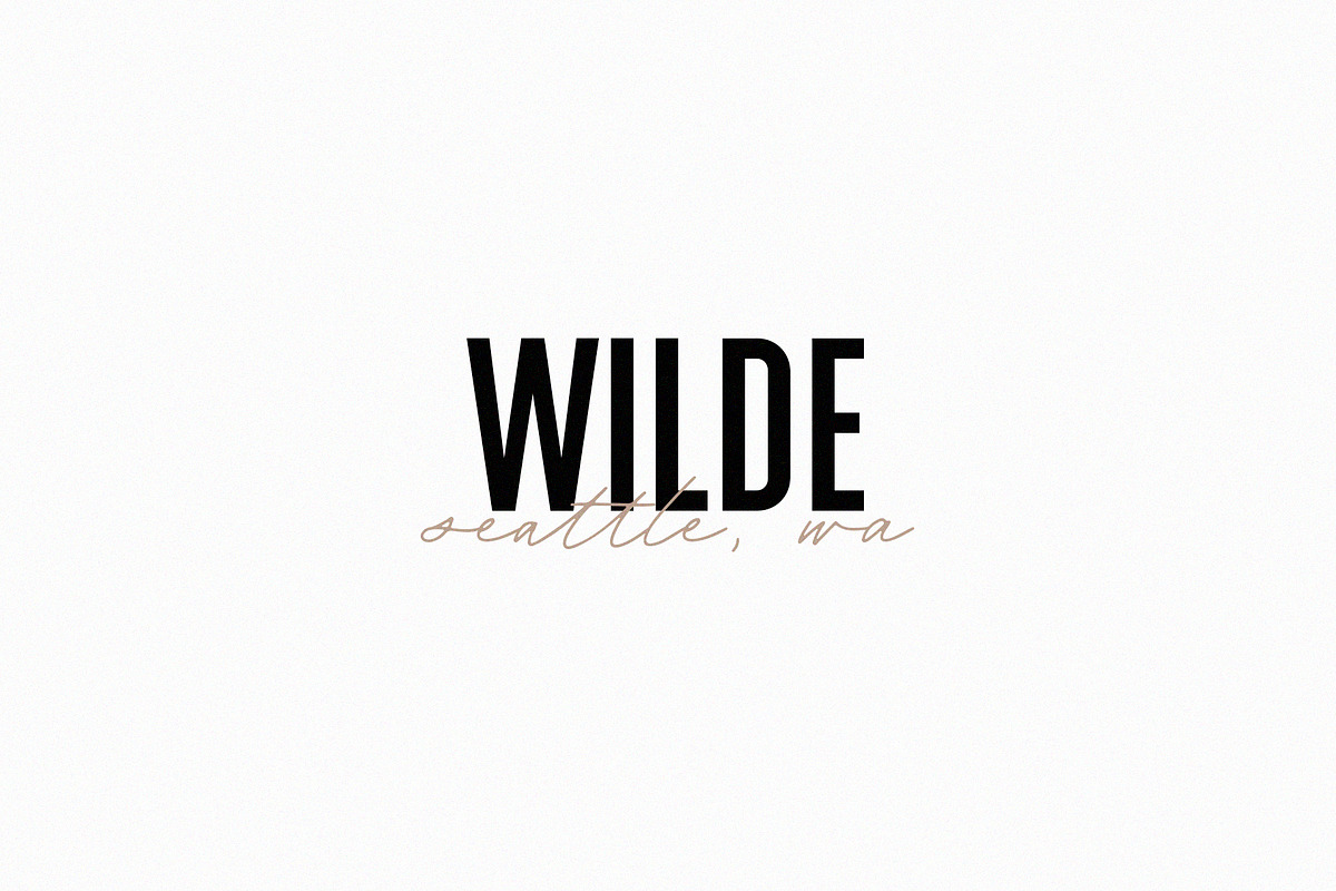 Bastille Modern Font Duo preview 5