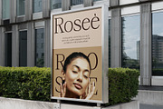 CS Serenity – Elegant Font, a Serif Font by Craft Supply Co. (Thumbnail 5 of 8)