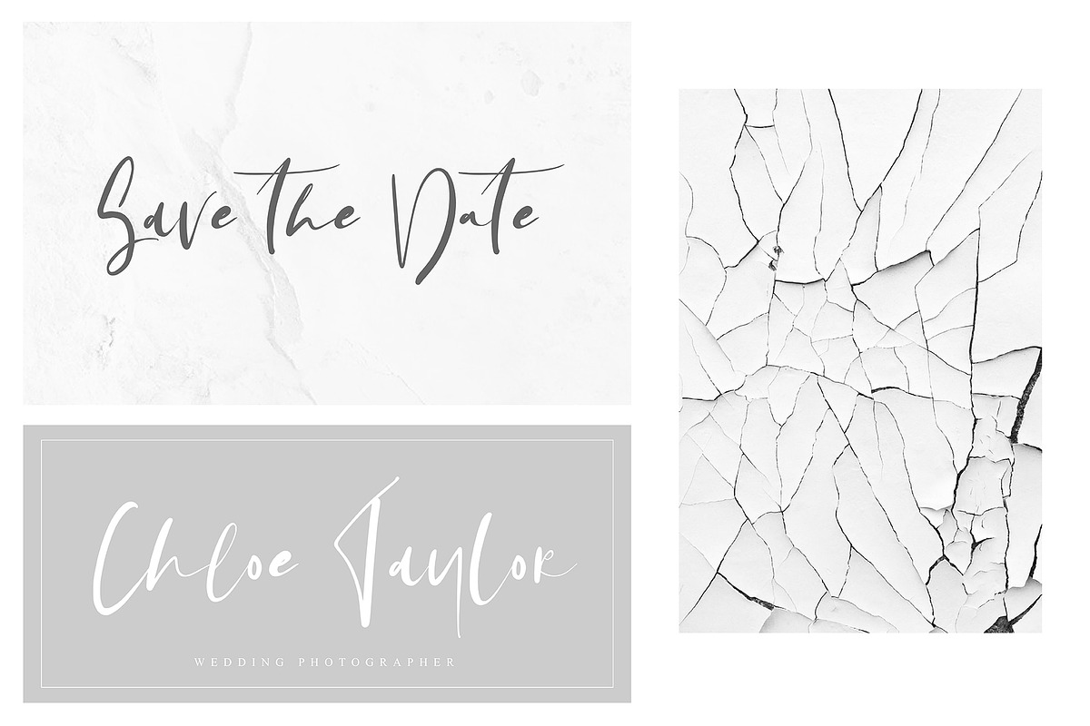 Leaf and Twig preview 4