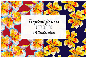 Tropical Flowers Patterns