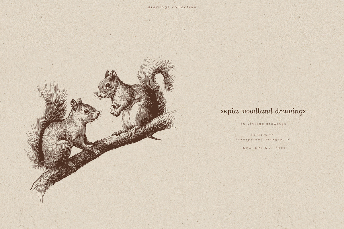 Sepia Woodland Drawings, an Animal Illustration by PeDe Designs (Photo 11 of 15)