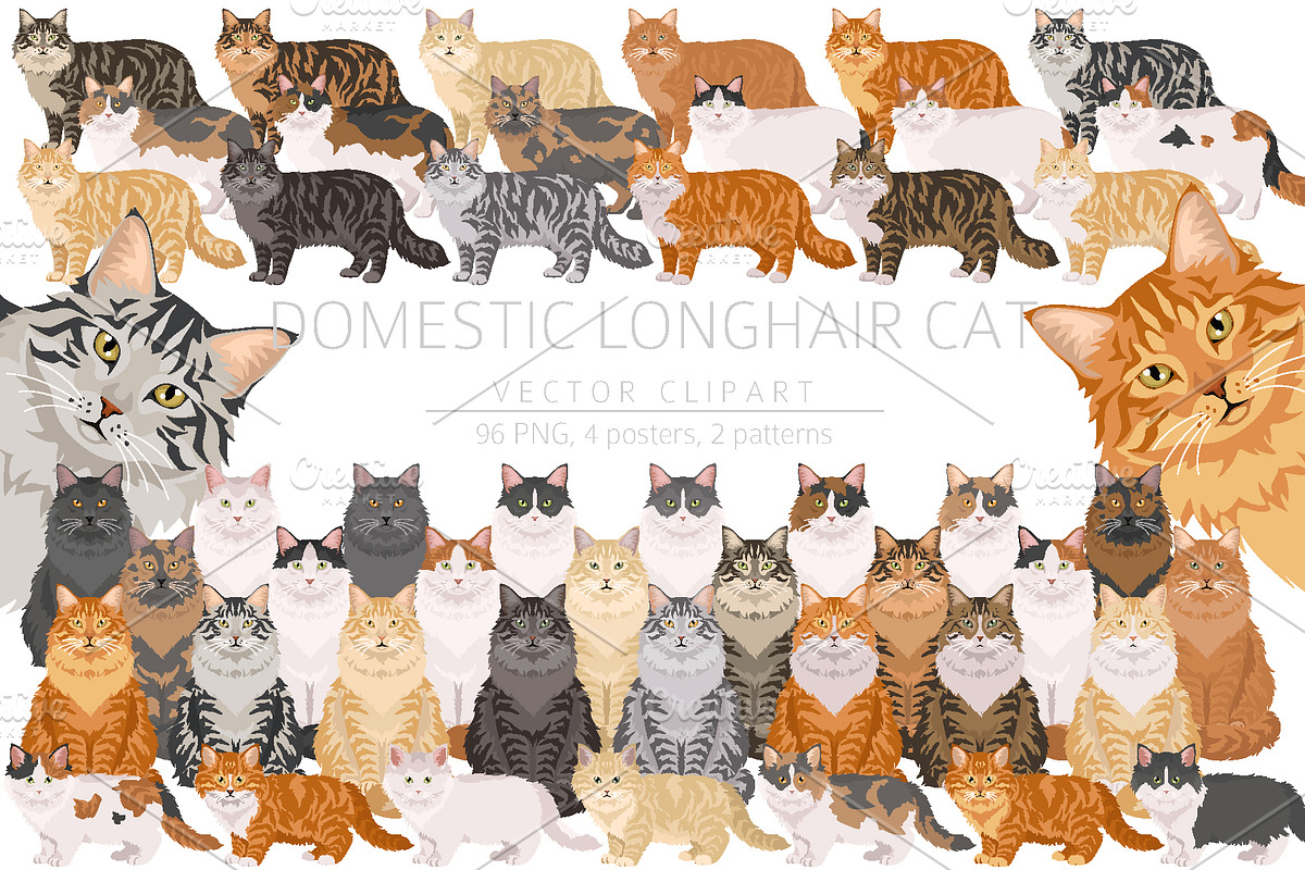 Domestic longhair cat, an Animal Illustration by pet design shop (Photo 1 of 6)