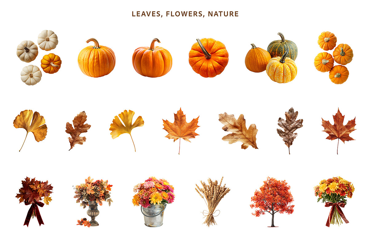 Vintage Autumn Collage Clipart Set, an Object Graphic by NatalieArtShop (Photo 2 of 12)