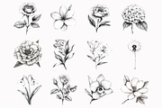 Watercolor Black White Flowers Clipa, an Illustration by Design Market (Thumbnail 3 of 4)