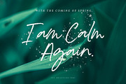 The Brightside Font, a Script Font by Ivan Rosenberg (Thumbnail 3 of 11)