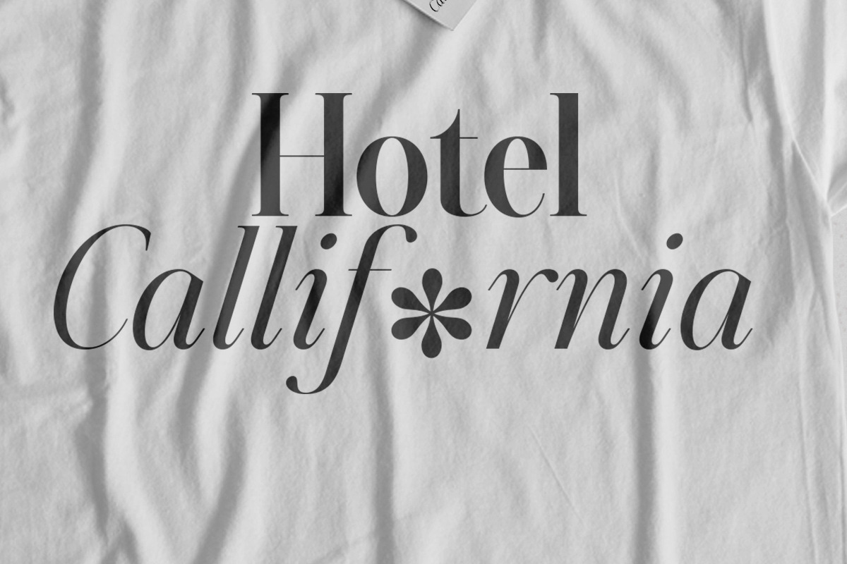 Aumiller Serif Family (18 Fonts), a Serif Font by Positive TypeFoundry (Photo 9 of 15)