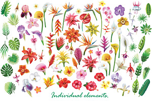 Tropical Flowers Arrangement Borders